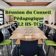 réunion du conseil pédagogique