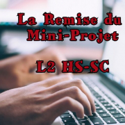 la remise  du mini projet
